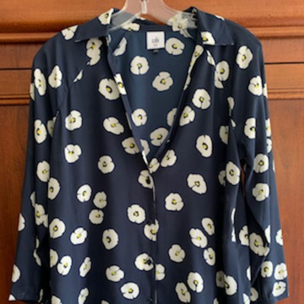 CAbi top